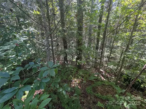 000 National Forest Drive Lenoir NC 28645