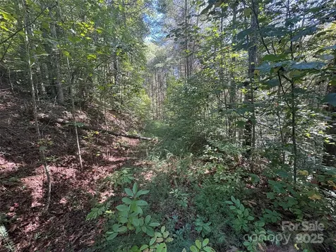000 National Forest Drive Lenoir NC 28645