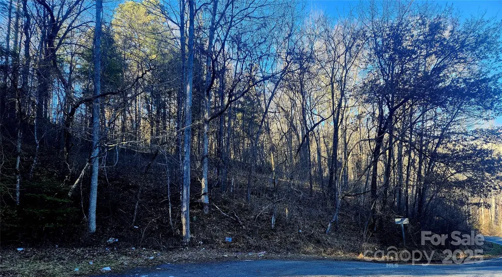 0001 Lyle Wilson Road Cullowhee NC 28723
