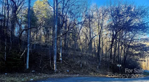 0002 Lyle Wilson Road Cullowhee NC 28723