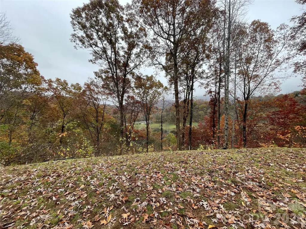 97 Junebug Trail Waynesville NC 28785