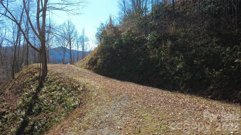 97 Junebug Trail Waynesville NC 28785