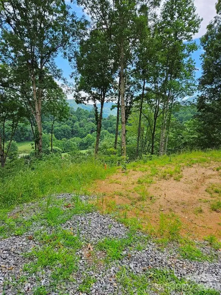97 Junebug Trail Waynesville NC 28785