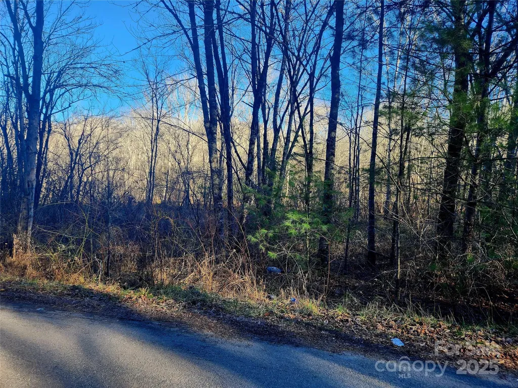 0003 Lyle Wilson Road Cullowhee NC 28723
