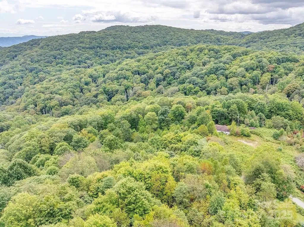 7130 Max Patch Road Hot Springs NC 28743