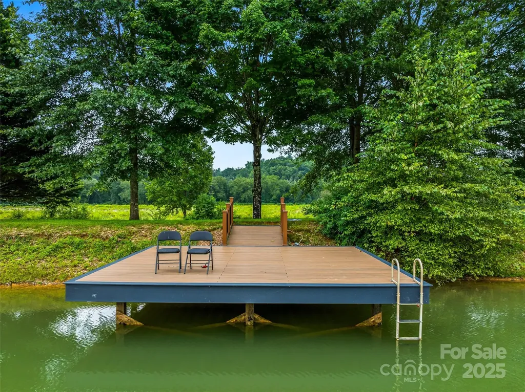 26 Cook Lane Mills River NC 28759