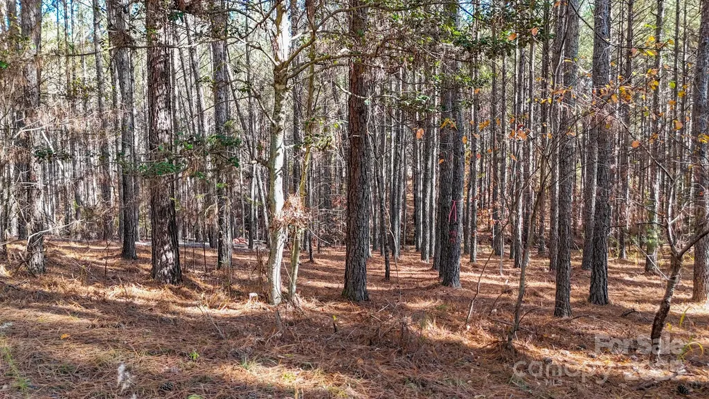 138 Whispering Pines Lane Mooresboro NC 28114