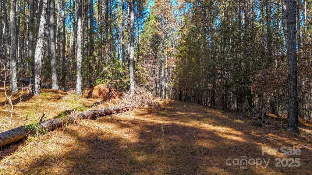 138 Whispering Pines Lane Mooresboro NC 28114