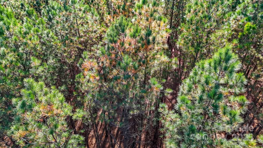 138 Whispering Pines Lane Mooresboro NC 28114