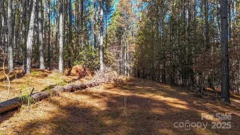 138 Whispering Pines Lane Mooresboro NC 28114