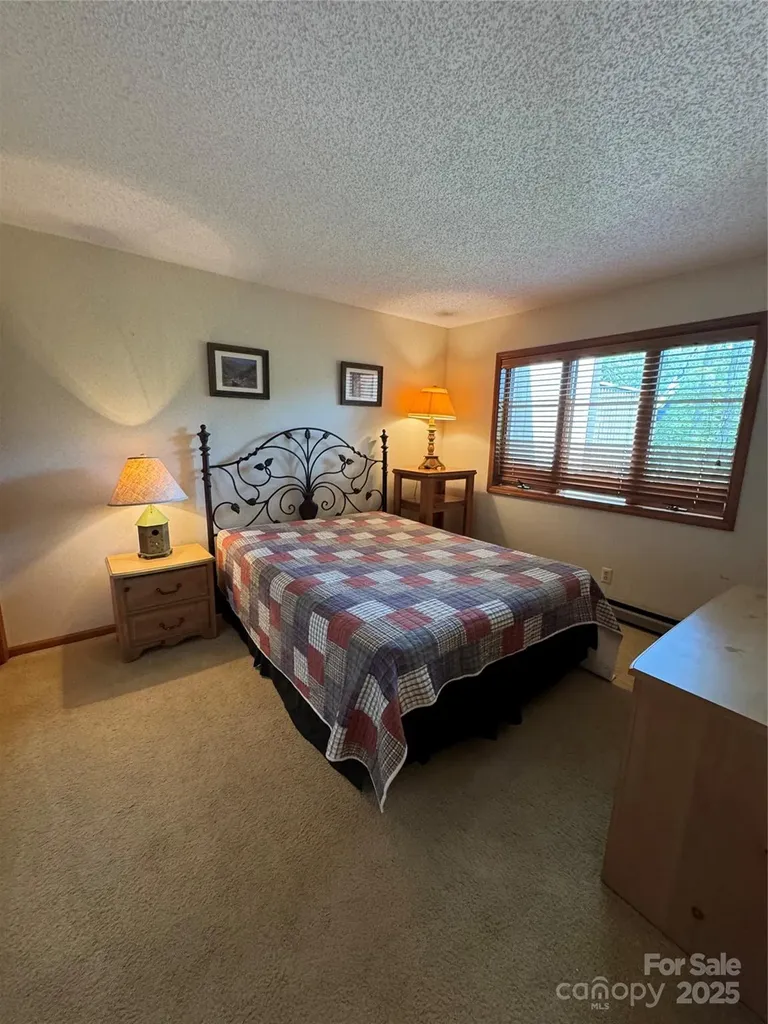 175 Ridgeview Road Sugar Mountain NC 28604
