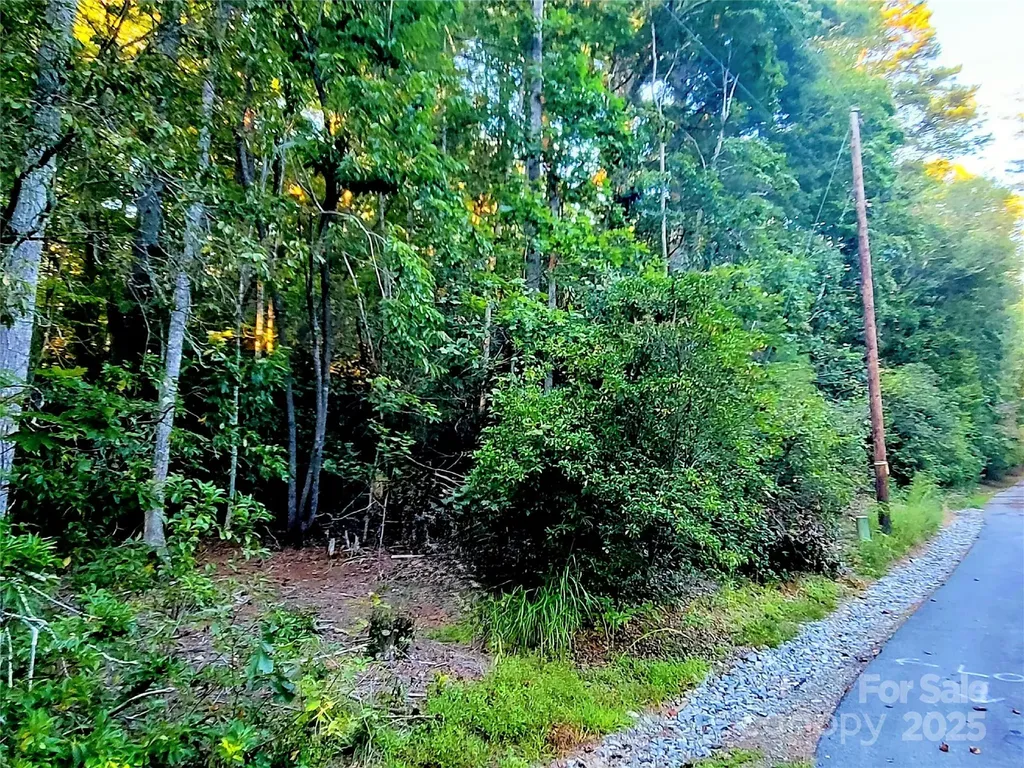 0 Joyful Lane Hendersonville NC 28791