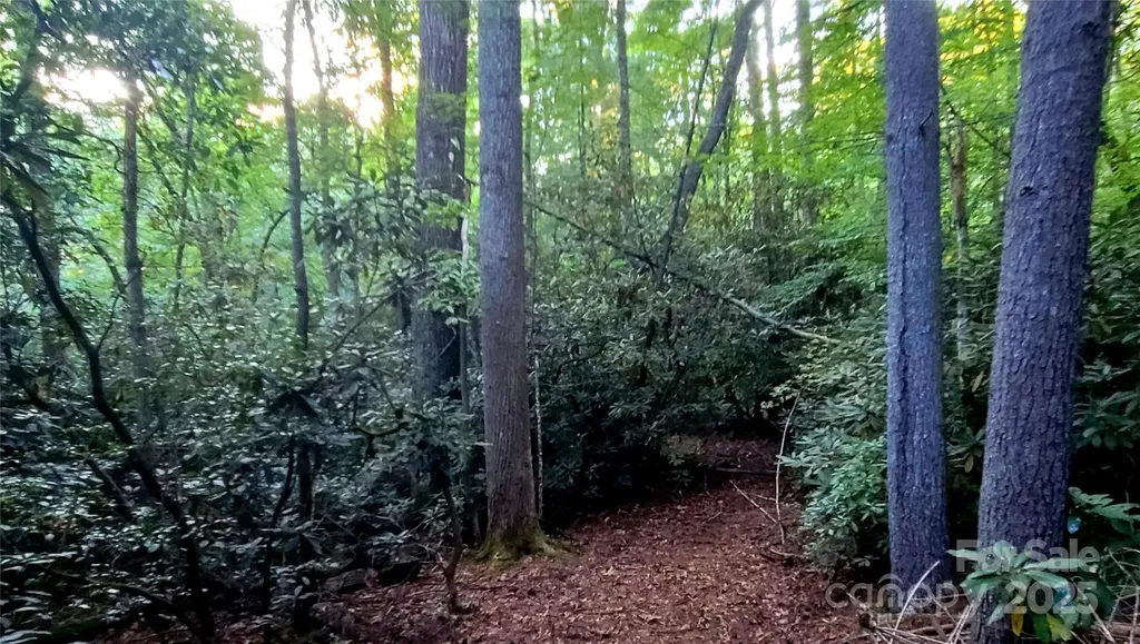 0 Joyful Lane Hendersonville NC 28791