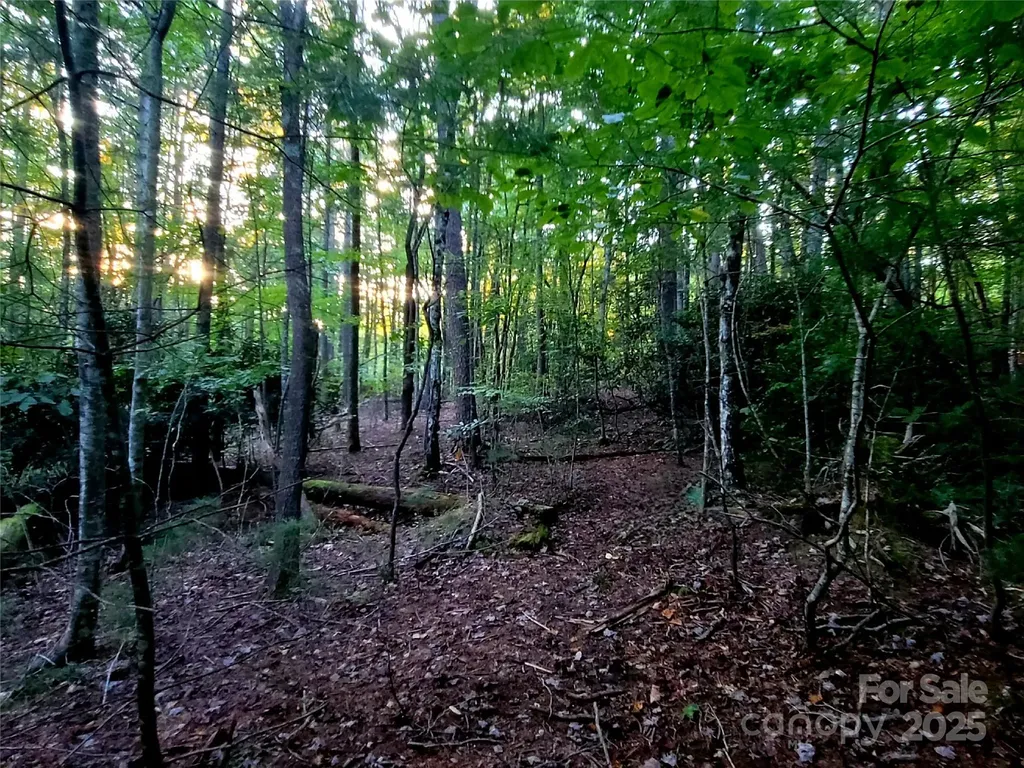 0 Joyful Lane Hendersonville NC 28791