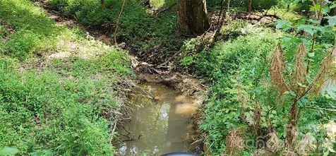 1115 John Short Road Indian Land SC 29707