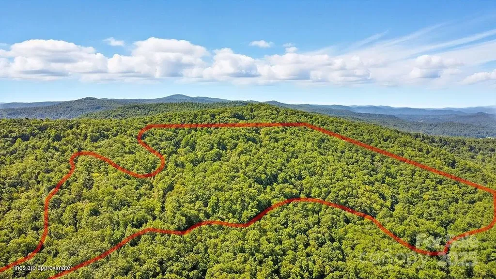 11 Reserve Road Pisgah Forest NC 28768