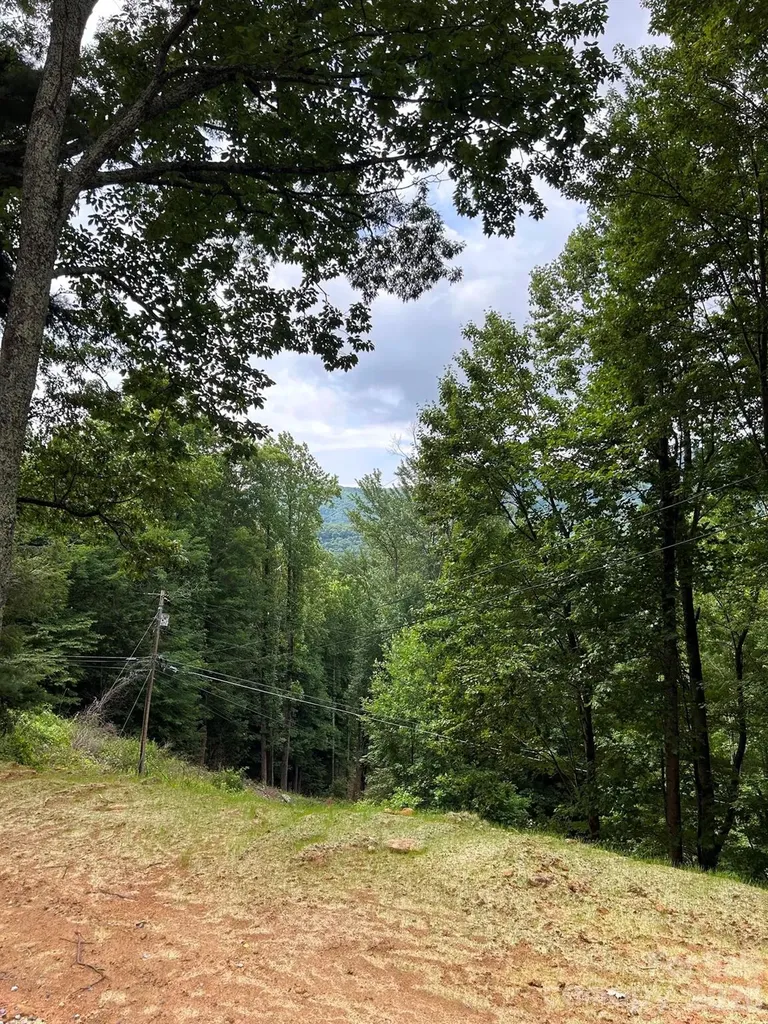38 Imperial Court Waynesville NC 28785