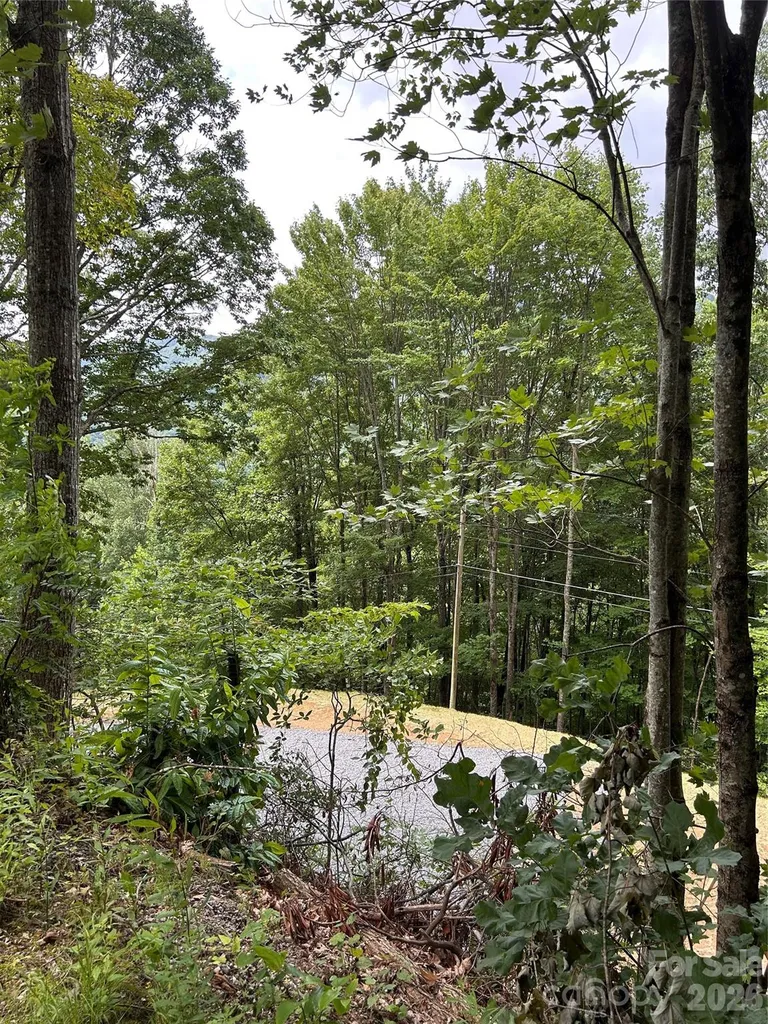 38 Imperial Court Waynesville NC 28785