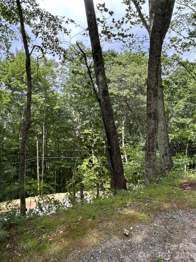 38 Imperial Court Waynesville NC 28785
