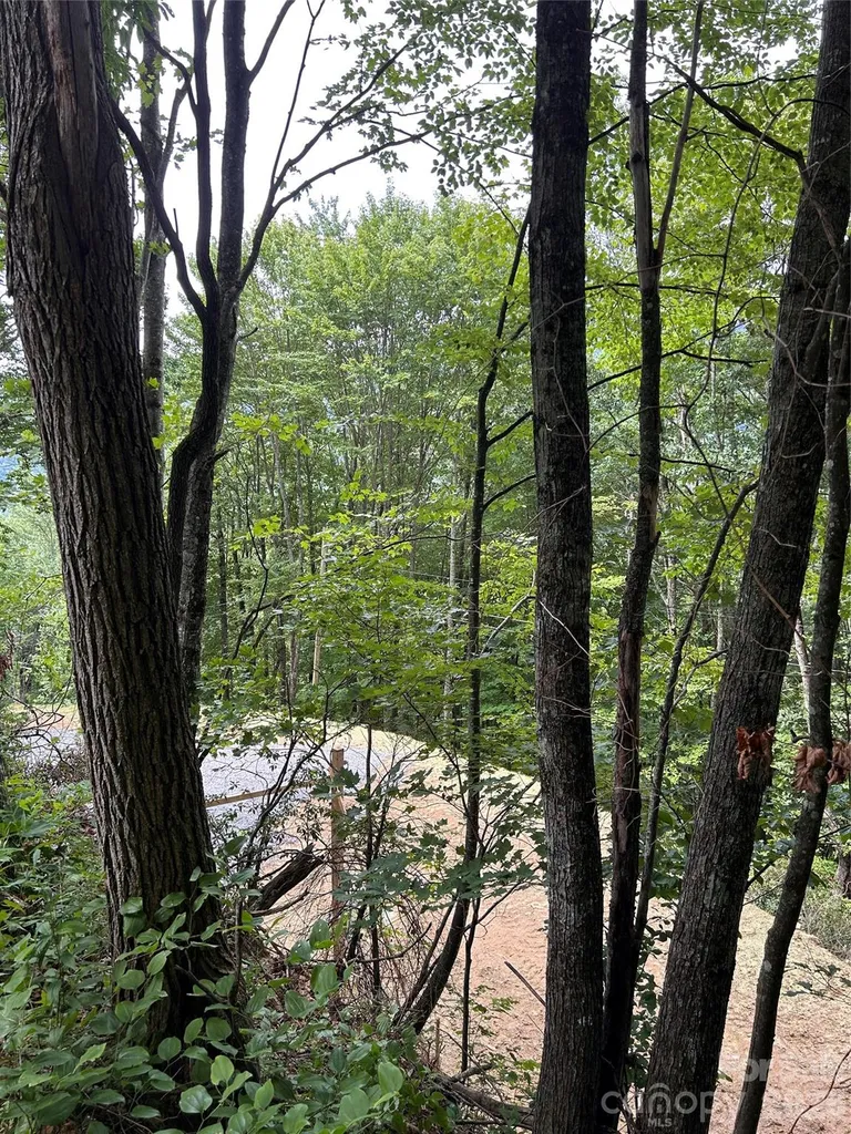 38 Imperial Court Waynesville NC 28785