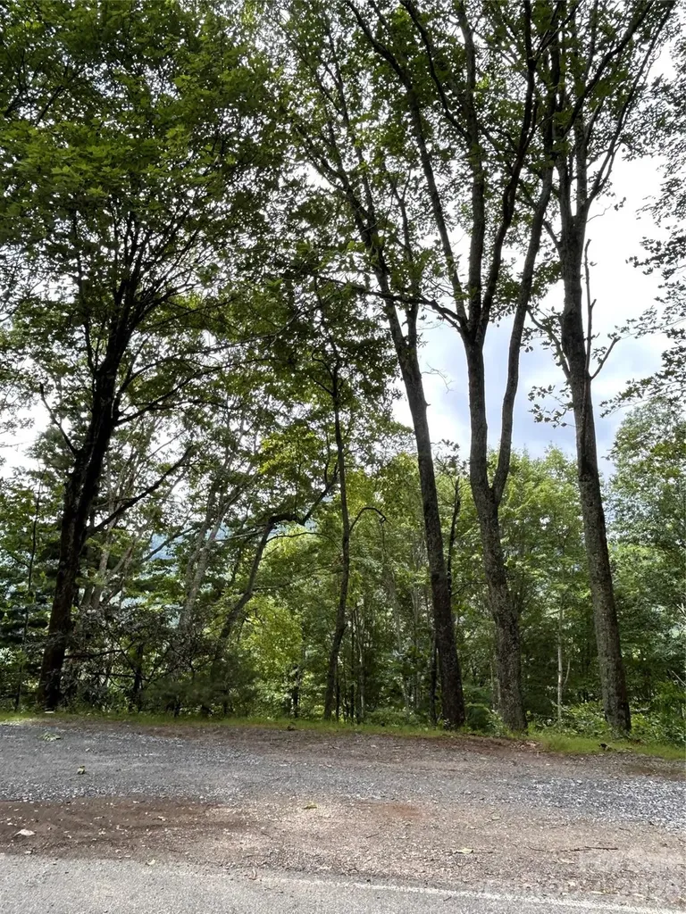 38 Imperial Court Waynesville NC 28785
