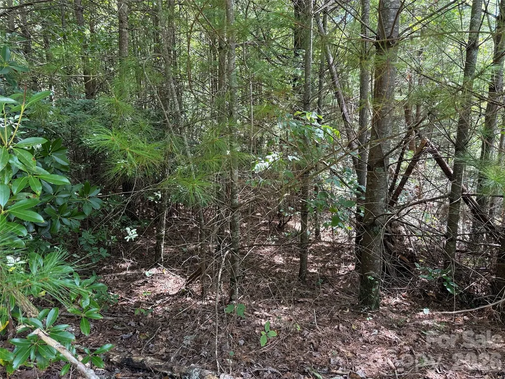 Tbd Staghorn Road Purlear NC 28665