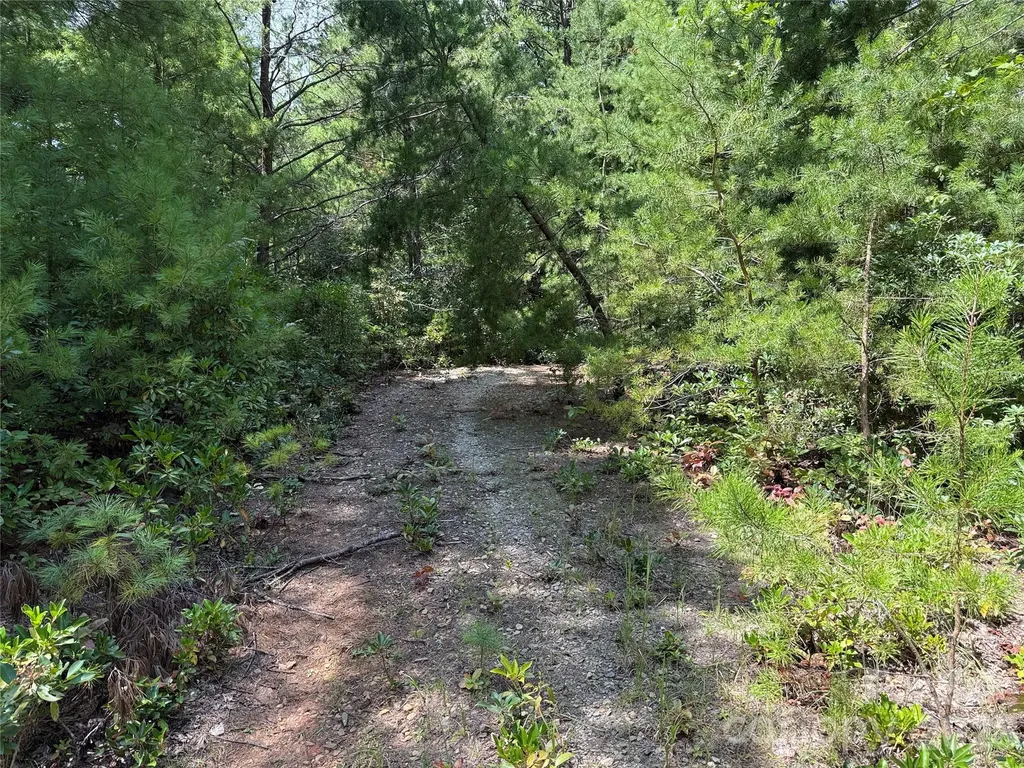 Tbd Staghorn Road Purlear NC 28665