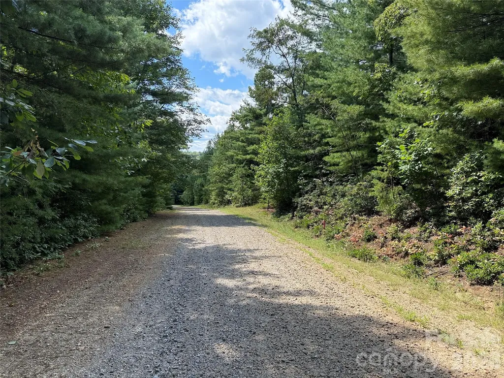 Tbd Staghorn Road Purlear NC 28665