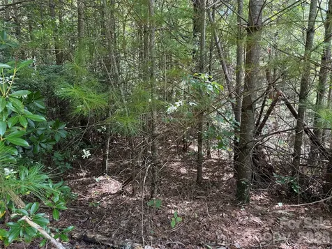 Tbd Staghorn Road Purlear NC 28665