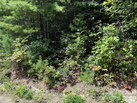 Tbd Staghorn Road Purlear NC 28665