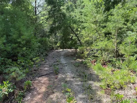 Tbd Staghorn Road Purlear NC 28665