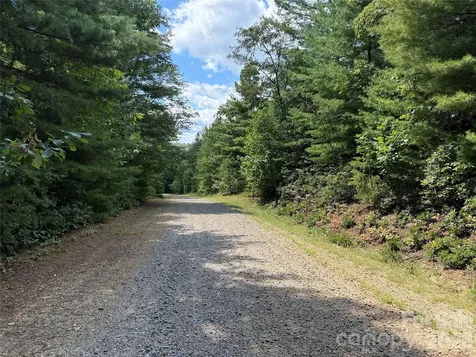 Tbd Staghorn Road Purlear NC 28665