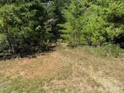 Tbd Staghorn Road Purlear NC 28665