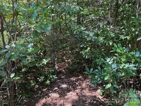 Tbd Staghorn Road Purlear NC 28665
