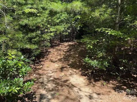 Tbd Staghorn Road Purlear NC 28665