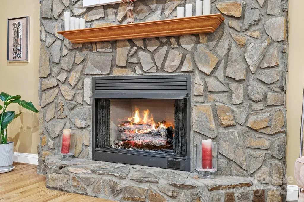 458 Blue Mist Way Arden NC 28704