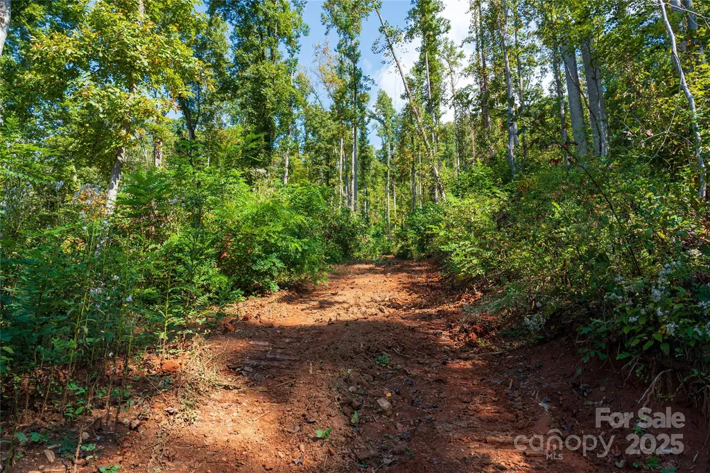 00 E Cope Creek Road Sylva NC 28779