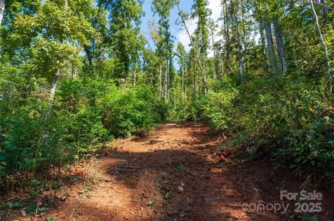 00 E Cope Creek Road Sylva NC 28779