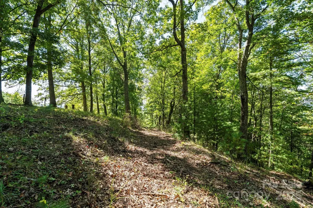 1623 Ammons Branch Road Marshall NC 28753
