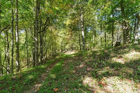 1623 Ammons Branch Road Marshall NC 28753
