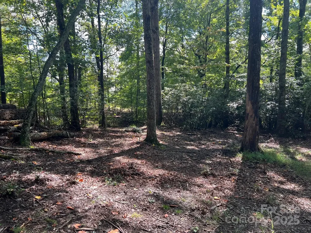 Tbd Blue Horse Lane Columbus NC 28722