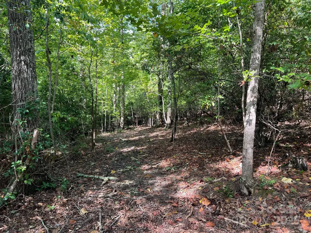 Tbd Blue Horse Lane Columbus NC 28722