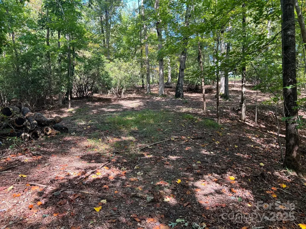 Tbd Blue Horse Lane Columbus NC 28722