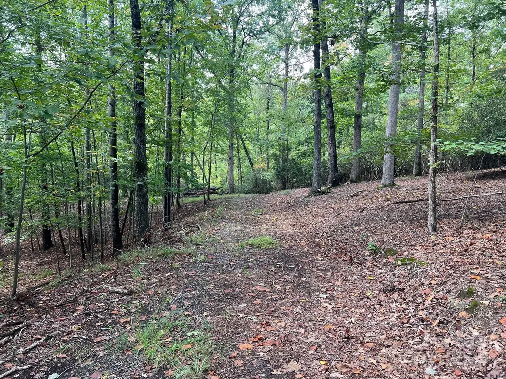 Tbd Blue Horse Lane Columbus NC 28722