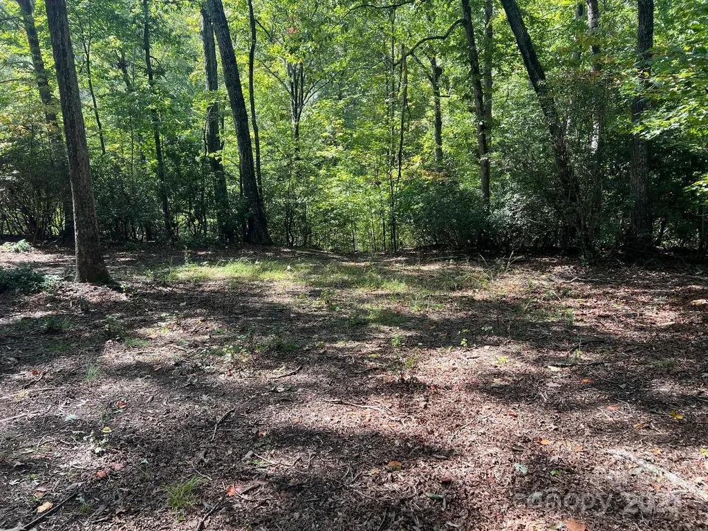 Tbd Blue Horse Lane Columbus NC 28722