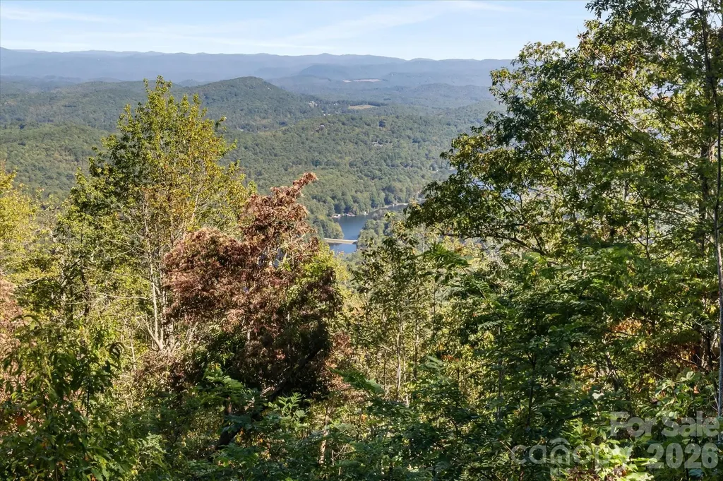 1544 Panthertown Road Lake Toxaway NC 28747
