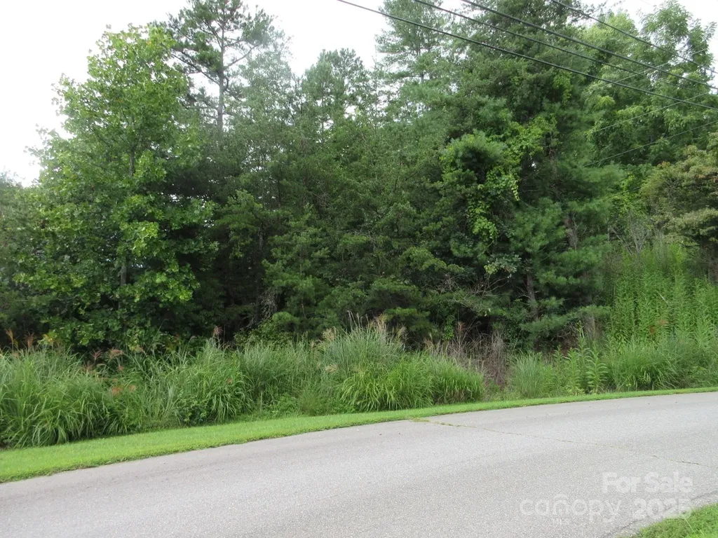 0 Old Burnsville Road Weaverville NC 28787