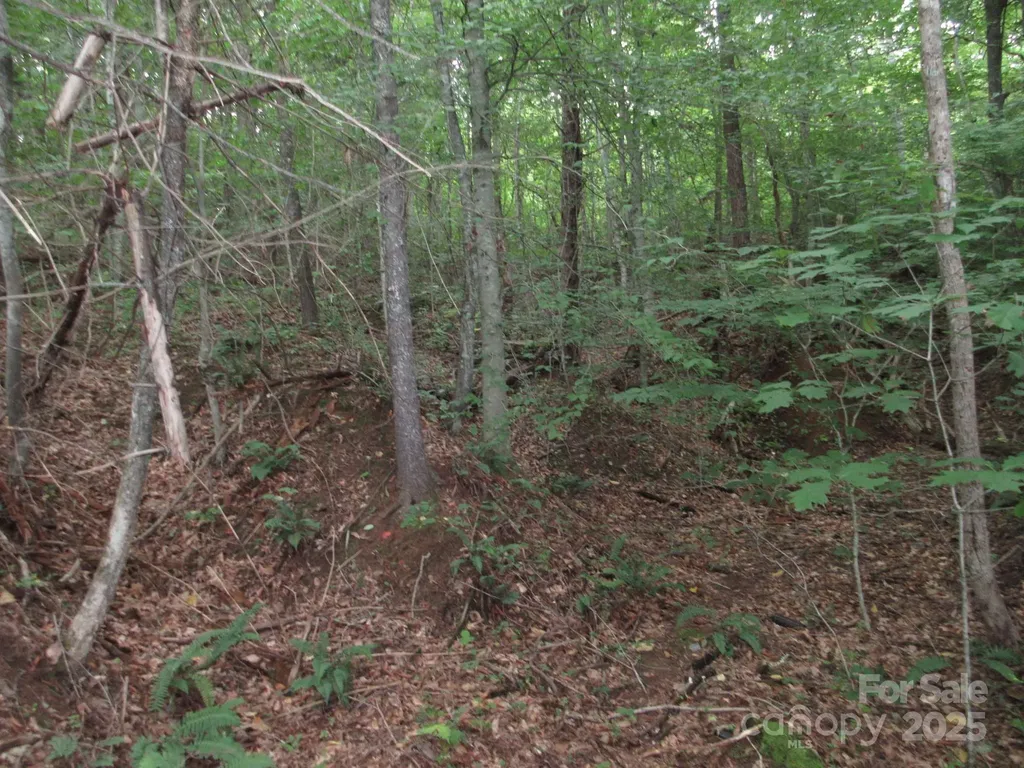 0 Old Burnsville Road Weaverville NC 28787