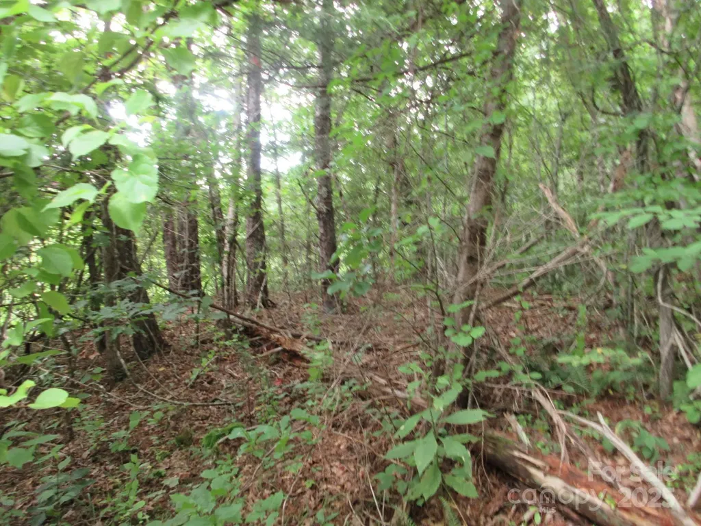 0 Old Burnsville Road Weaverville NC 28787