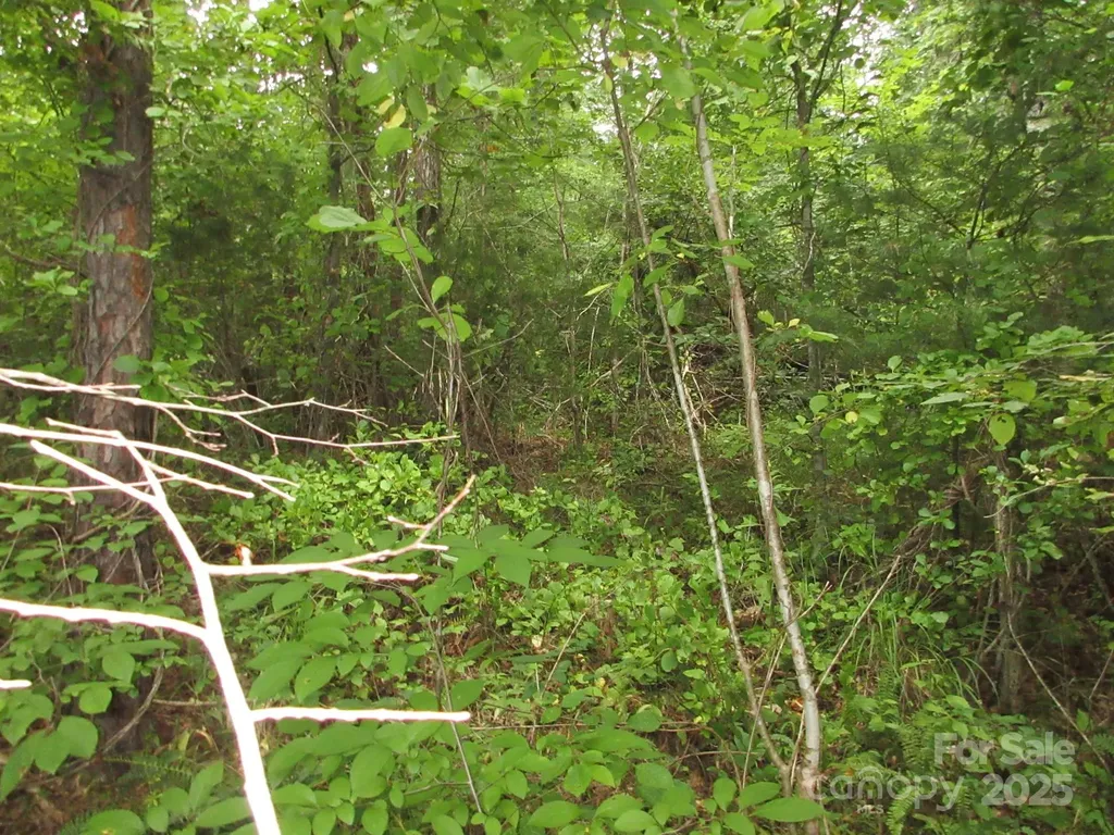 0 Old Burnsville Road Weaverville NC 28787